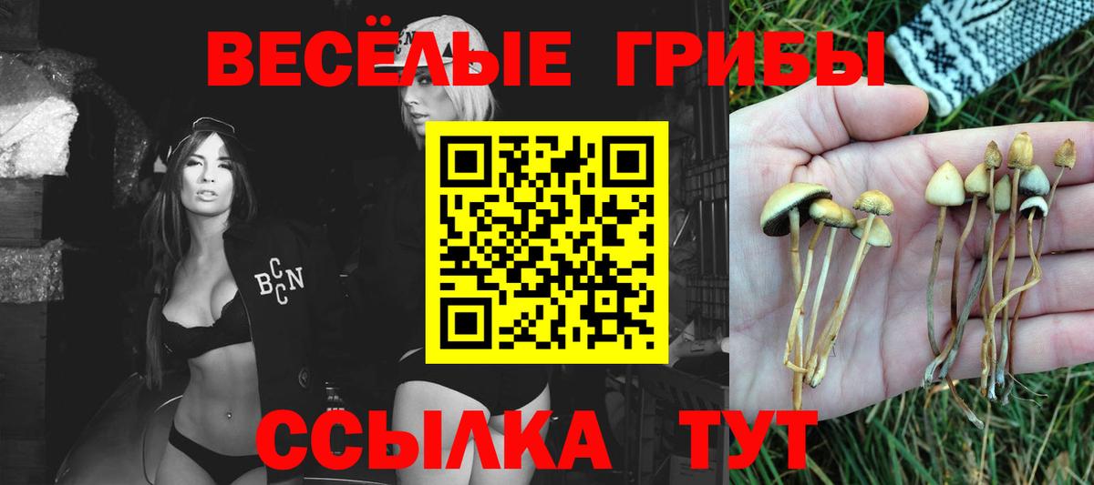 Галлюциногенные грибы Cubensis  Вход с VPN  Можайск 