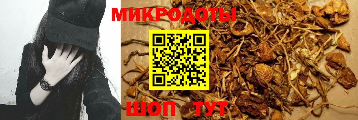 Галлюциногенные грибы Cubensis Можайск